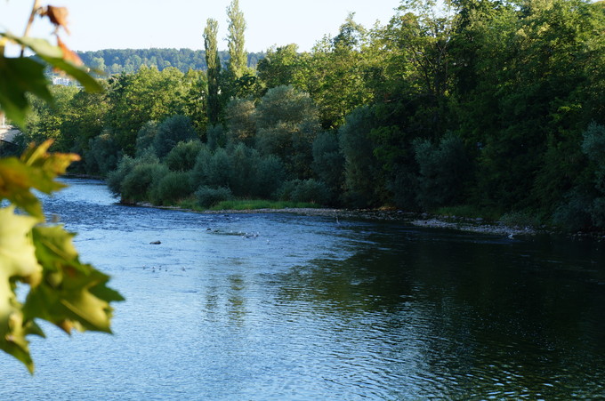 e0241093_8353510.jpg