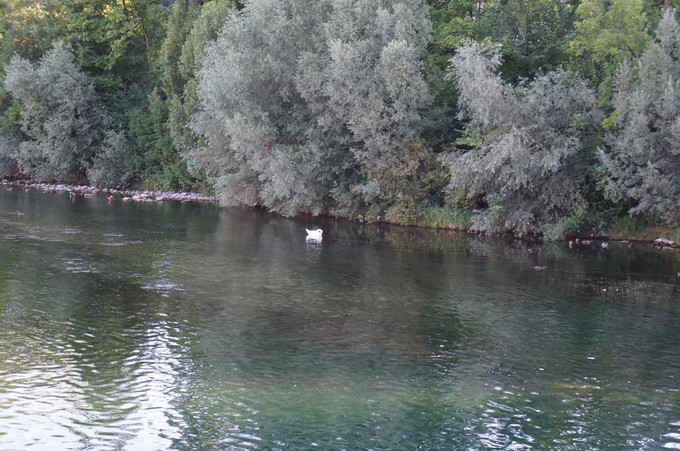 e0241093_8361877.jpg