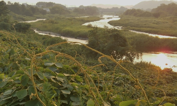 d0000995_21424792.jpg
