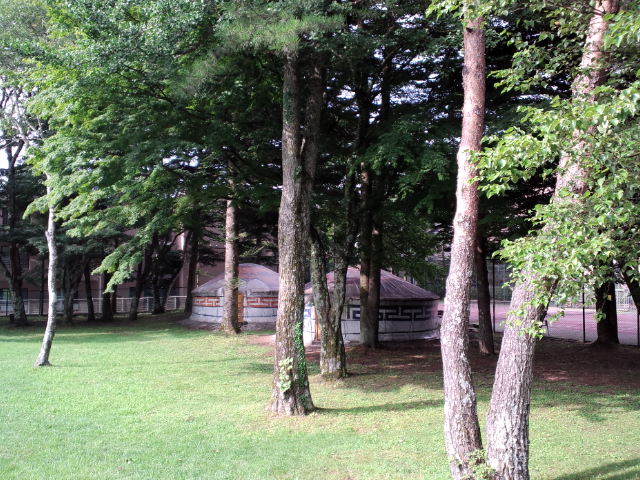 f0042295_945756.jpg