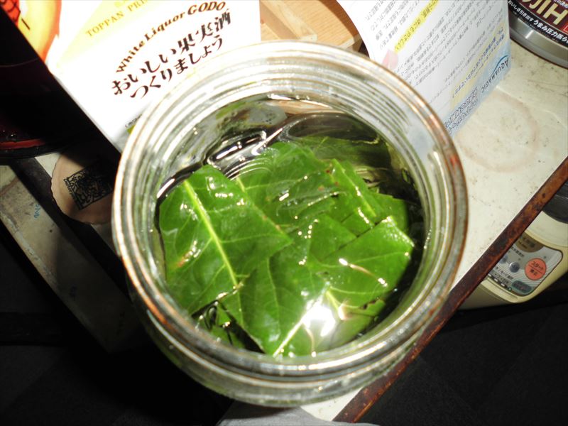 c0108198_1547278.jpg