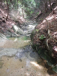 c0359615_21204670.jpg