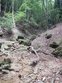 c0359615_21210172.jpg