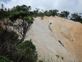 c0359615_21211517.jpg