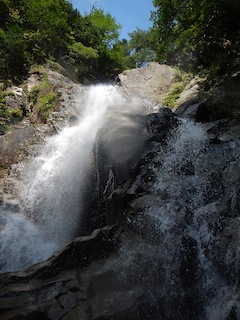 c0359615_21214425.jpg