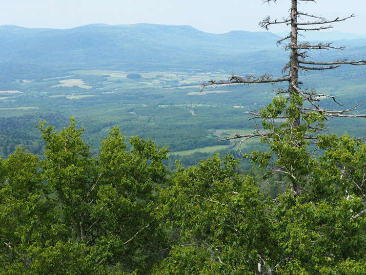 f0116528_20212298.jpg