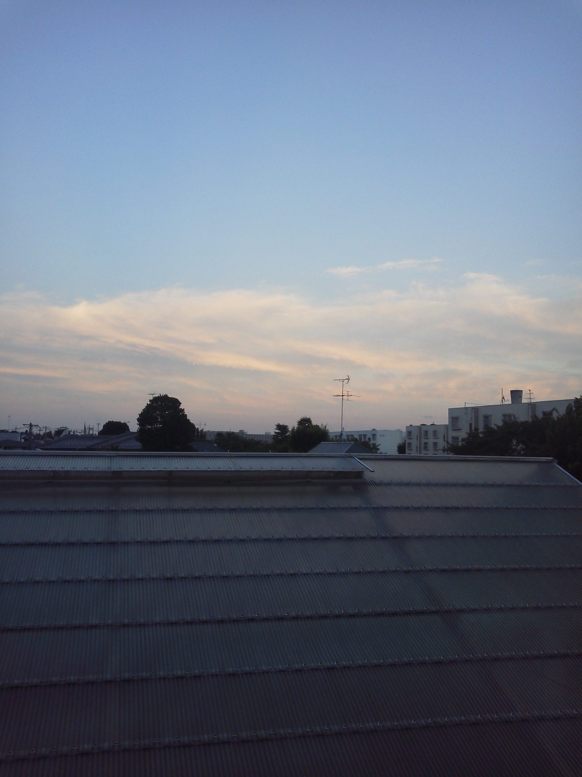 b0031140_195098.jpg