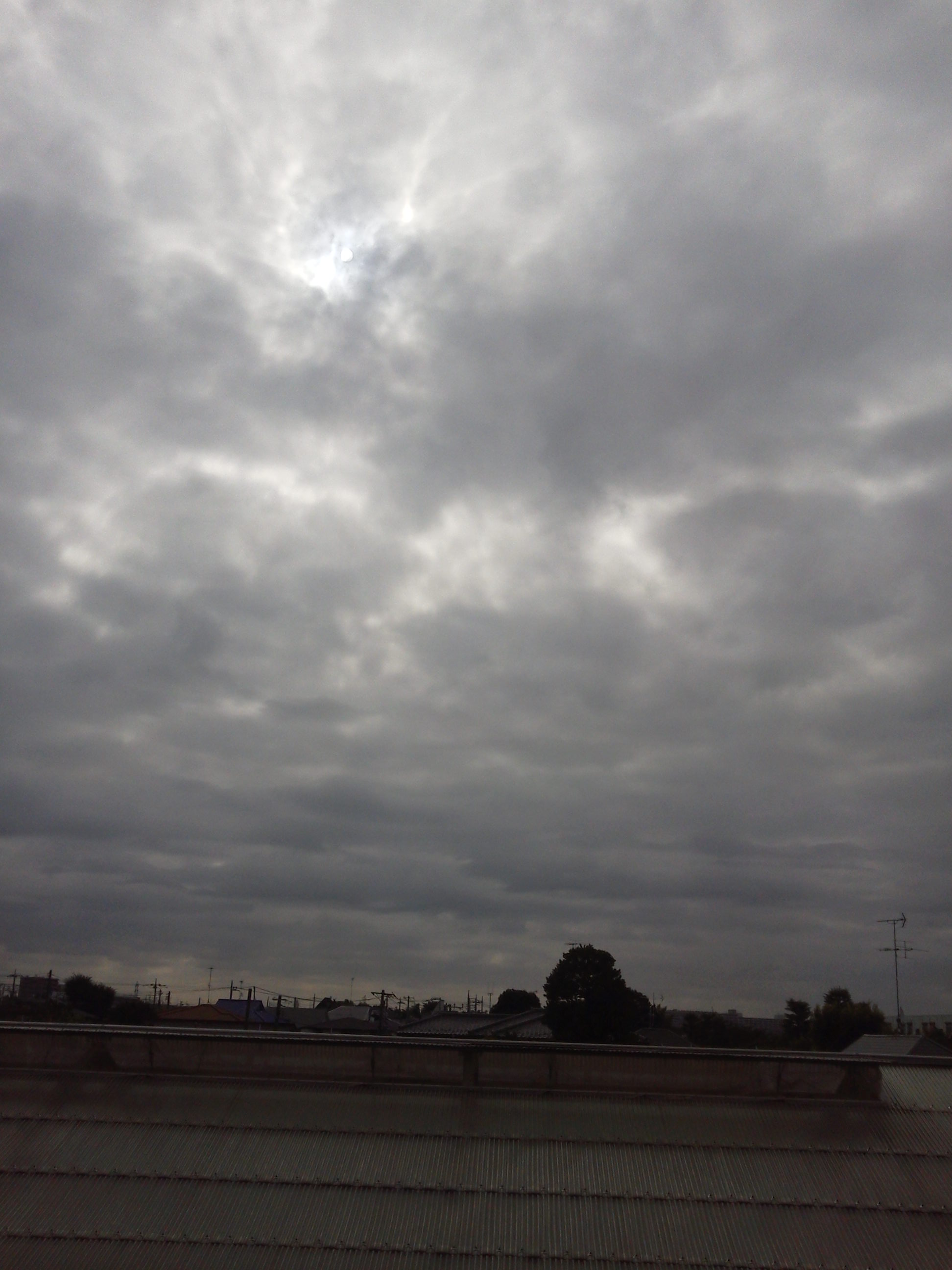 b0031140_825187.jpg