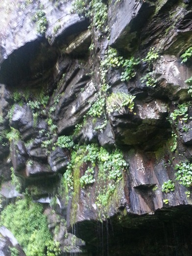 f0345940_06221419.jpg