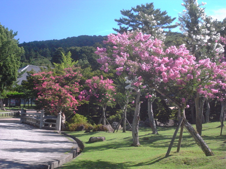 a0100742_9445550.jpg