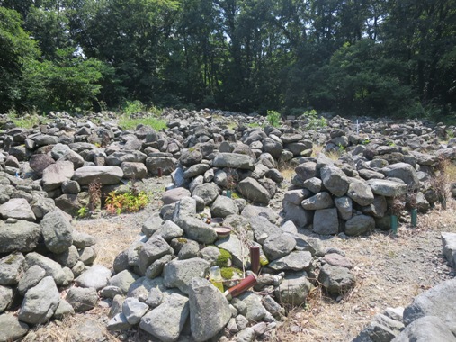 f0202151_1425096.jpg