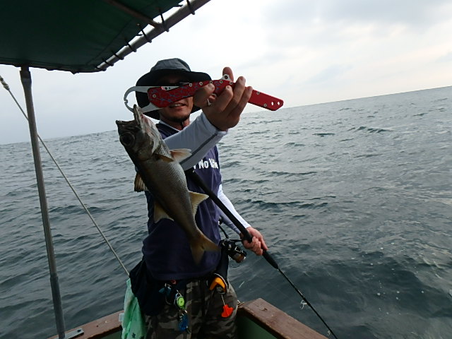 a0248152_1824799.jpg