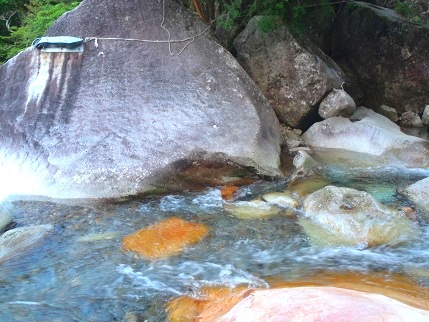 c0119160_17243367.jpg