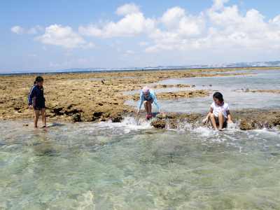 c0180460_17322877.jpg