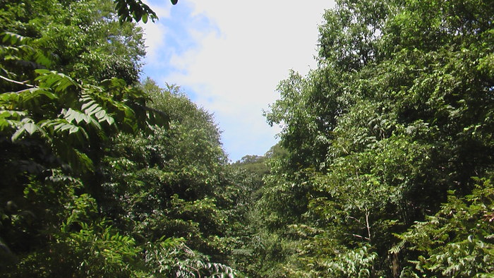 b0208961_1559283.jpg