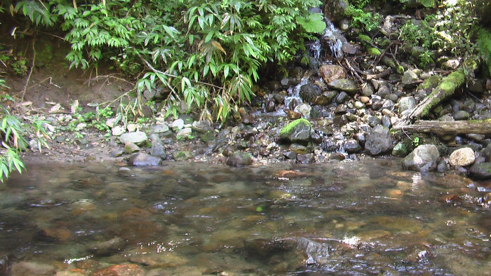 b0208961_1621660.jpg