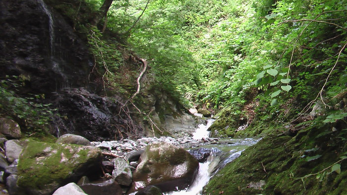 b0208961_1641258.jpg