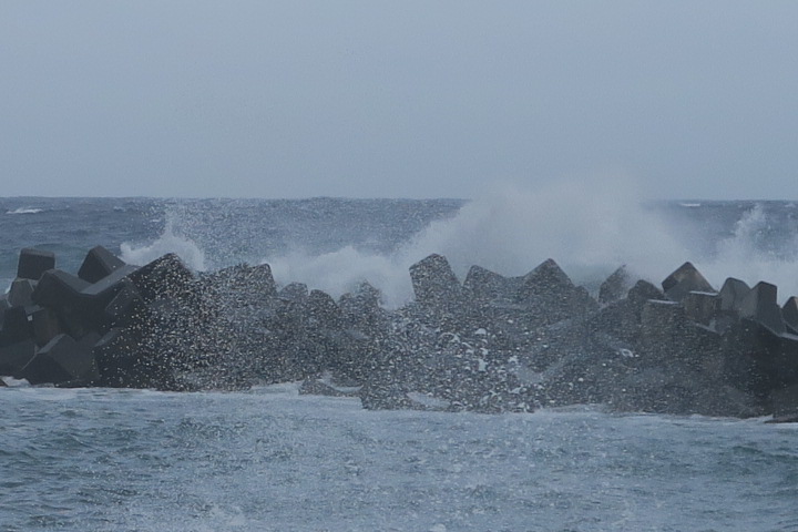 e0292172_20203521.jpg