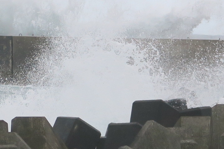 e0292172_20211593.jpg