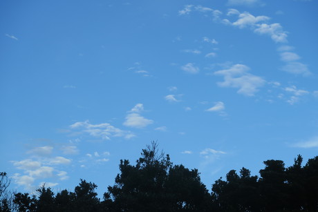 e0292172_20294988.jpg