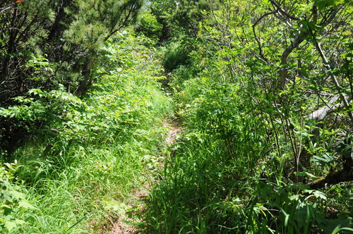 f0130376_205331.jpg