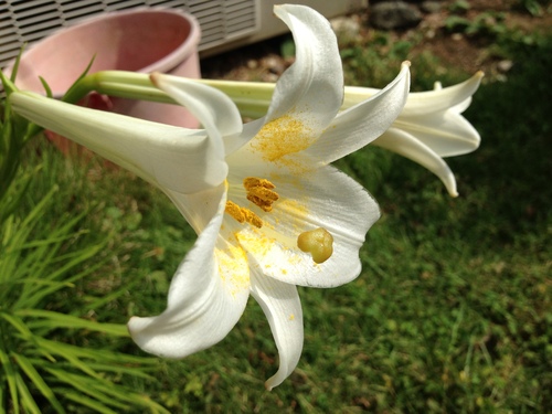 f0201297_12175214.jpg