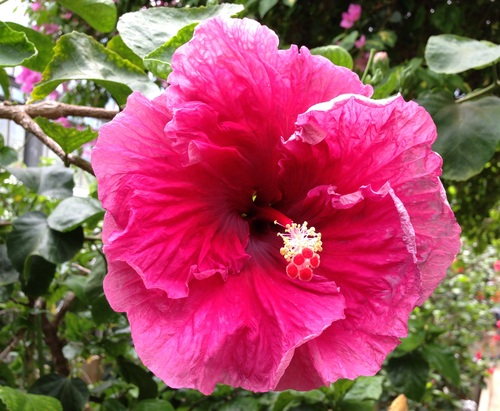 f0201297_12241286.jpg