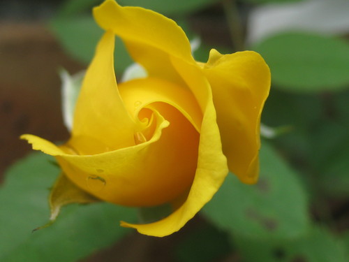 f0201297_1255469.jpg