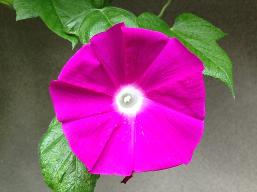 f0201297_1292082.jpg