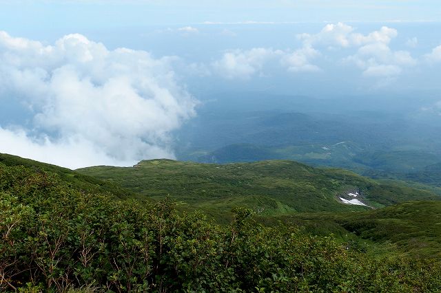e0137200_21554479.jpg