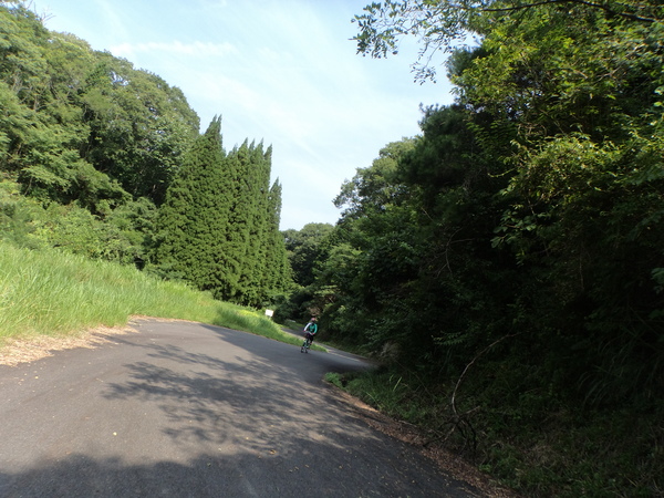 c0266004_1733818.jpg