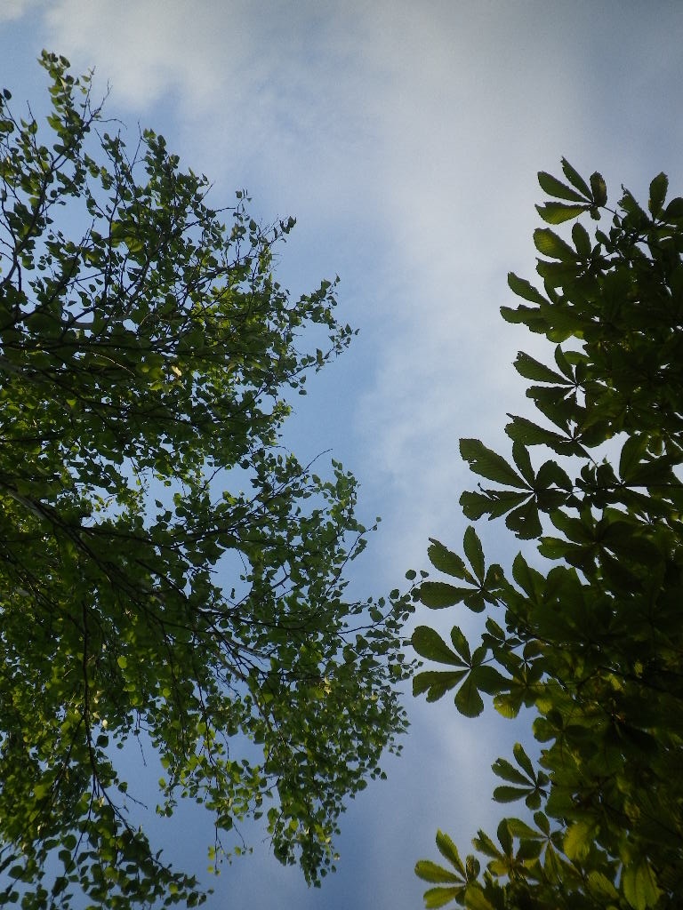 e0052716_10221722.jpg