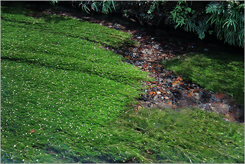 f0078127_8434880.jpg