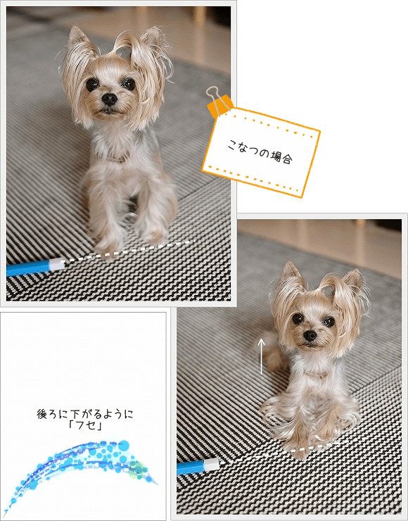 d0179828_08544096.png