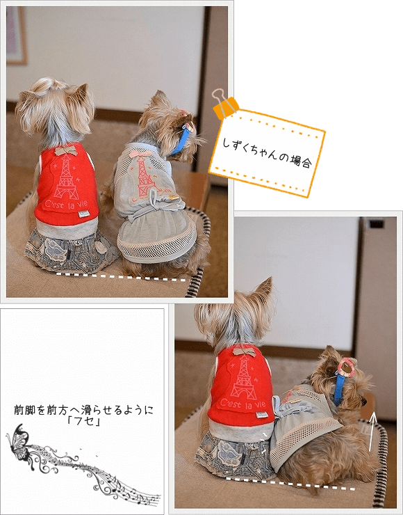 d0179828_09005730.png