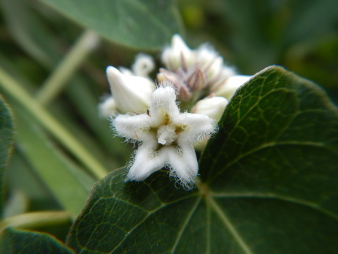f0118332_23251446.jpg