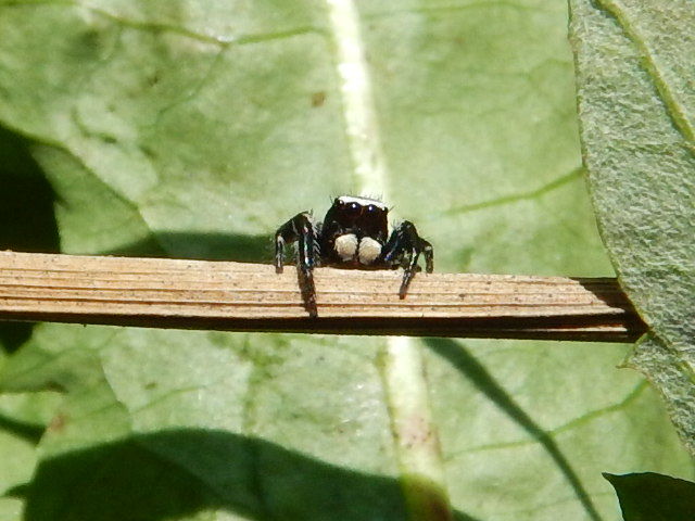 f0118332_23255420.jpg