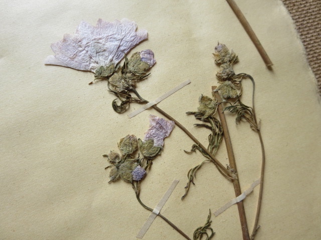 b0167334_18143955.jpg
