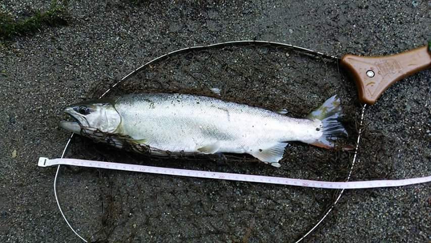 a0165135_15333573.jpg