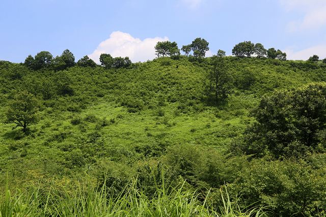a0242438_18375430.jpg
