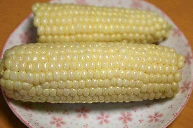 a0242438_18392396.jpg