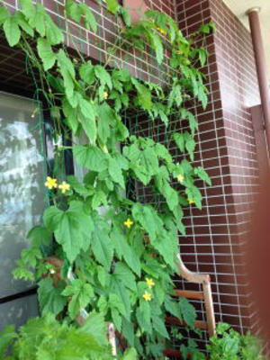 b0001440_15174492.jpg