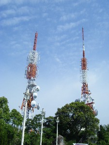 e0163044_1643480.jpg