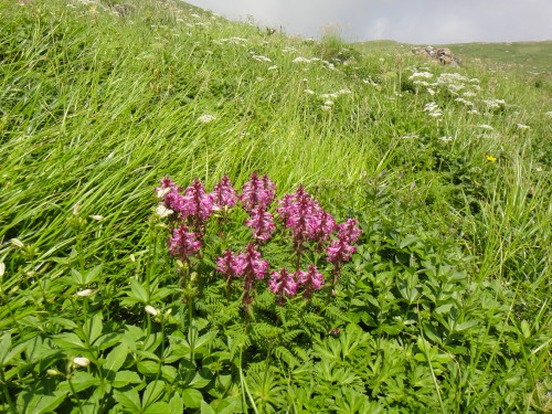 c0179351_10295584.jpg