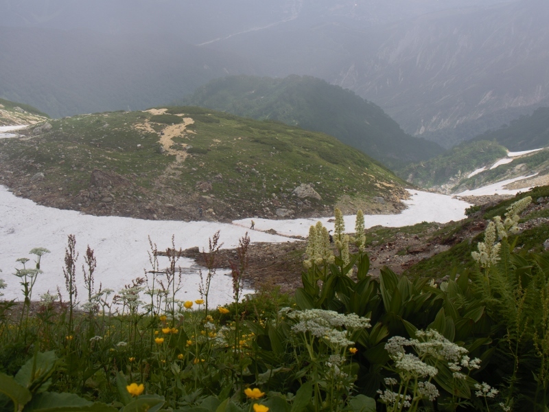 b0335256_11214315.jpg