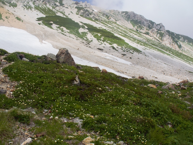 b0335256_11263973.jpg