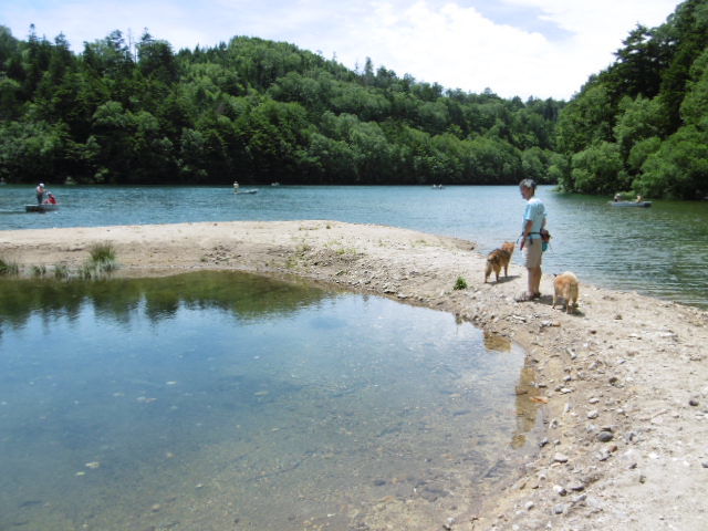b0203758_15024943.jpg