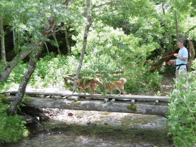 b0203758_15030804.jpg