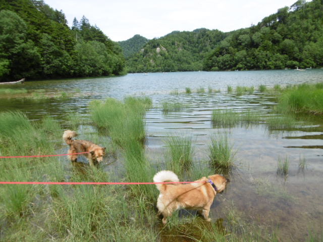 b0203758_15043621.jpg