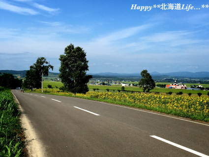 a0337860_21473369.jpg